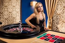maxbet88 background